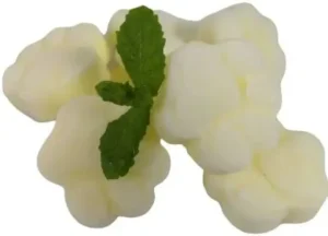 Alexander's Natural Kefir Paws