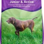 Alpha Active Field Nuggets