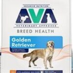 Ava Breed Health Golden Retriever Dry