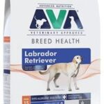 Ava Breed Health Labrador Retriever Dry