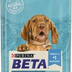 Beta Puppy