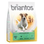 briantos Adult Mini Lamb & Rice