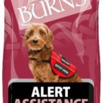 Burns Alert