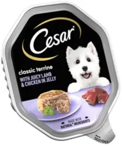 Cesar Classic Terrine Trays in Jelly