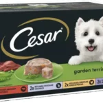 Cesar Garden Terrine Trays