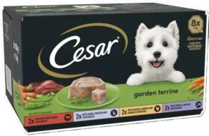 Cesar Garden Terrine Trays