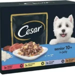 Cesar Senior Wet Pouches in Jelly