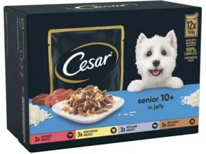 Cesar Senior Wet Pouches in Jelly