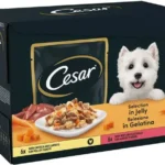 Cesar Wet Pouches in Jelly