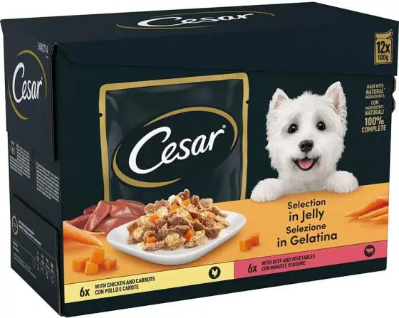Cesar Wet Pouches in Jelly review