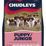 Chudleys Puppy / Junior