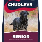 Chudleys Senior