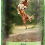Cobbydog Adult
