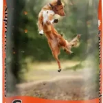 Cobbydog Supreme Chunks