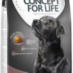 Concept for Life Labrador Retriever Adult