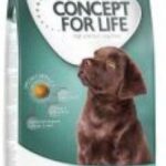 Concept For Life Large Breed Junior