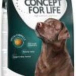 Concept For Life Large Breed Senior
