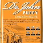 Dr John Puppy