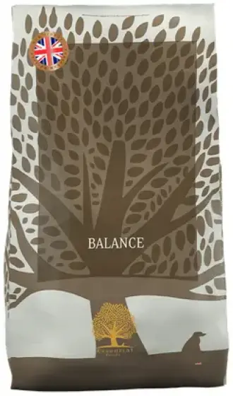 Essential Balance review
