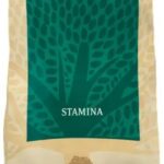 Essential Stamina