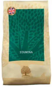 Essential Stamina Working