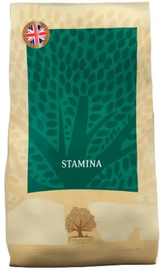 Essential Stamina Working review