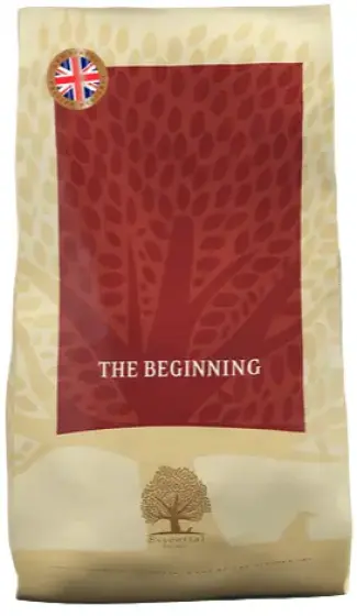 Essential The Beginning Working review