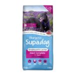 Supadog Burgess Supadog Greyhound & Lurcher