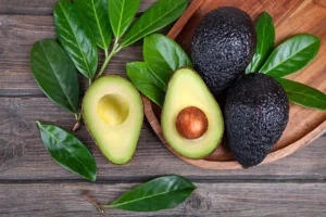 Can dogs eat Avocado