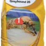 Gain Greyhound 28