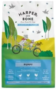 Harper and Bone Puppy