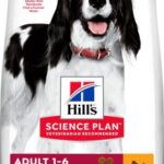 Hill's Science Plan Adult 1-6 Medium