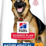 Hill's Science Plan Mature Adult 6+ Large
