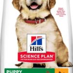 Hill's Science Plan Puppy Large