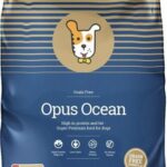 Husse Opus Ocean