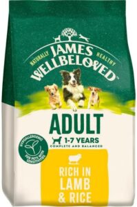James Wellbeloved Adult Dry