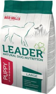 Leader Puppy Large Breed