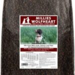 Millies Wolfheart Obedience Mix