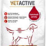 Platinum Vetactive Dry Hypoallergenic