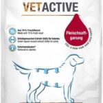 Platinum Vetactive Dry Light