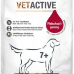 Platinum Vetactive Dry Senior