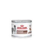 Royal Canin Veterinary Dog Recovery Mousse