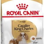 Royal Canin Cavalier King Charles Adult