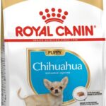 Royal Canin Chihuahua Puppy