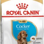 Royal Canin Cocker Puppy