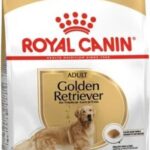 Royal Canin Golden Retriever Adult