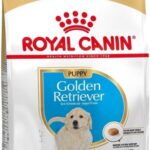 Royal Canin Golden Retriever Puppy