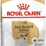 Royal Canin Jack Russell Adult