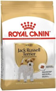 Royal Canin Jack Russell Adult