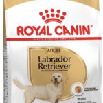 Royal Canin Labrador Retriever Adult